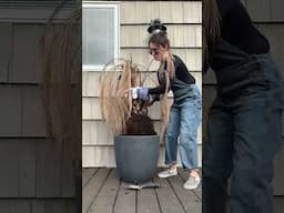 ONE DAY DECK MAKEOVER?