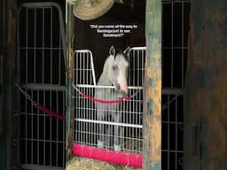 Visiting Sandman in Saratoga