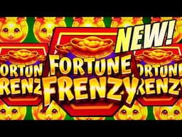 ★NEW SLOT!★ BUNNY MONEY!! 🐰 FORTUNE FRENZY Slot Machine (AGS)