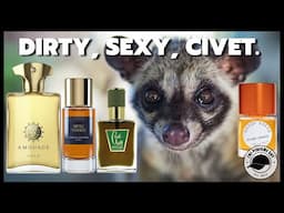 CIVET in Perfumery: 21 Bold Fragrances That Roar 🐾