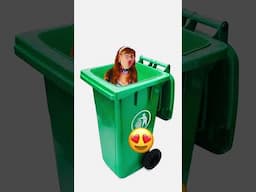 TRASH FUN😁#ytshorts #viralshort #youtubeshorts #forentertainmentpurposesonly#fypシ゚viral