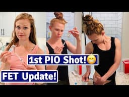 FET Update! | My Embryo Transfer Medications