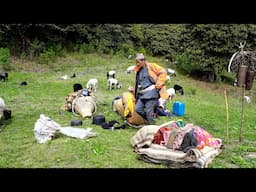 beautiful life of shepherd people from Himalayan mountain Nepal ||   @shepherdlifeofnepal