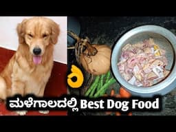 ಮಳೆಗಾಲದಲ್ಲಿ ನಮ್ಮ Dog ಗಳಿಗೆ ಯಾವ ಕೊಡುತ್ತೀನಿ | vlog | pet care kannada