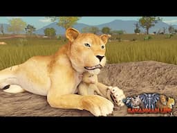 Being Adopted Into a Lion Pride! | ROBLOX Savannah Life