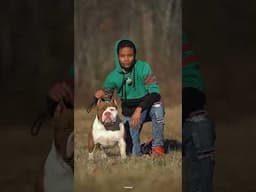 ELMO’S WORLD OF BULLIES AMERiCAN BULLY