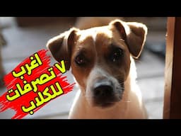 ٧ تصرفات غريبة عند الكلاب | رقم ٥ هيفاجئك