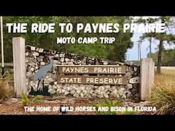 Ride to Paynes Prairie State Park