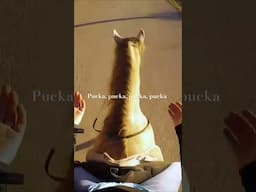 This is what a good gait sounds like!!! Pucka, pucka, pucka, pucka!