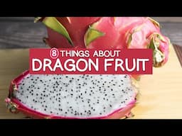 8 Things About Dragon Fruit - Is Pitaya a Superfruit?