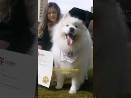Dogtor of Barkology is quite the accomplishment really 🐶 🧑‍🎓