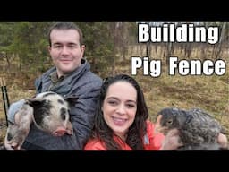 New Pigs on the Homestead & Baby Chicks Hatching! | Off-Grid Life in Alaska
