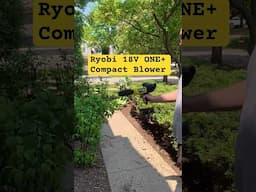 Ryobi 18V ONE+ Compact Blower #brianunboxed #ryobi #tools #blower #leafblower @RYOBITOOLSUSA