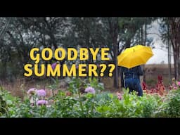 The farm finally got rain. Australian Gardening