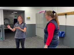 Tour of the Equine Dental Clinic