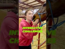 This is a Horse Challenge Like NO OTHER! #horse #shorts