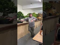An introduction from Sean Smith. Come meet him at our Greenwood Bonsai Bash