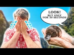 Zoo Visits That Didn't Go My Way