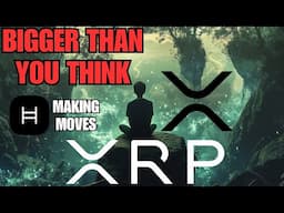 Ripple XRP 🚨  ETF LIVE! Hedera's Surprise — Hiero Move Is Bigger Than You Think 👀