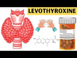 Levothyroxine - Uses, Mechanism Of Action, Pharmacology, Side Effects, And Contraindications