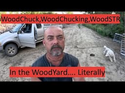 Woodchuck and WoodSTR in Woodyard. Literally #firewood #woodchuck #groundhog
