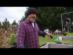 From Coffee to Compost - Let’s see how much the worms love it