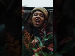 @_b.a.r.d.o - "Renacer" featuring @combochimbita - out now on #StonesThrow