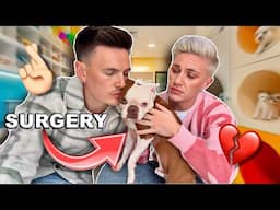 Our Dog Has Skin Cancer… Surgery to Remove a Mast Cell Tumour