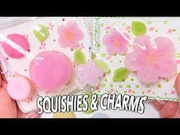 RESIN & TABA Squishies - SAKURA & Macarons- Sophie and Toffee - Puni Puni Box- #diy