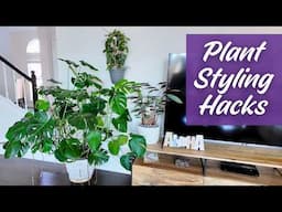 Make Your Plants Look AMAZING With These Plant Styling Décor Hacks