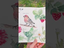 sketches of my garden #watercolor   #sketchbook #artjournaling #gardenart