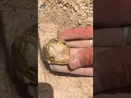 #metaldetecting