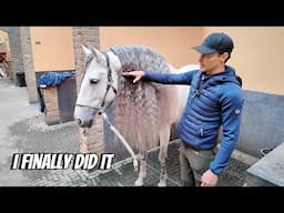 AFTER 10 YEARS I CUT MY HORSES HAIR OFF WHICH WAS DOWN TO HIS KNEES