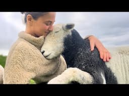 Animals Don’t Speak, But They Know How to Love You 🥰