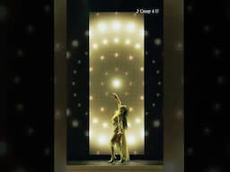 2025年3月20日
