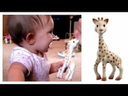 Sophie Giraffe Teether Review