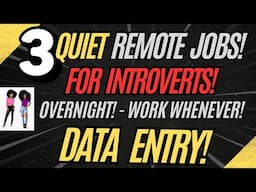 3 Quiet Remote Jobs For Introverts ( Data Entry ) Work From Home Work Whenever