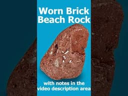 Beach Brick vs. Rock ID'd--Seattle, Washington