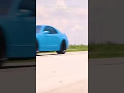 Happy National Mustang Day!