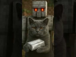 CAT Fufik and Iron Golem from Minecraft #shorts