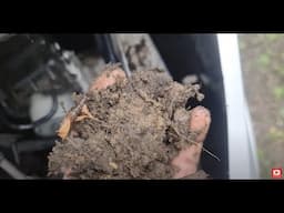 FIAT DUCATO  2016  CIGARETTE LIGHTER FUSE AND INNER WING MUD PROBLUM