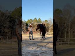 But yeah let’s normalize punishing our horses for being itchy… 🥴