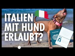 Italien mit Hund? Diese Fehler machen fast alle! Episode 12