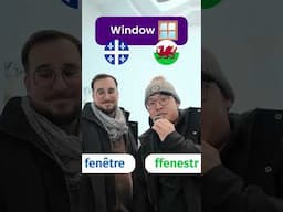 Everyday Objects in Welsh 🏴󠁧󠁢󠁷󠁬󠁳󠁿 and French (Québec) ⚜️
