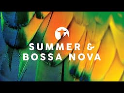 SUMMER & BOSSA NOVA 2025
