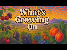 Spring Orchard and Berry Patch 2025 - Homesteading