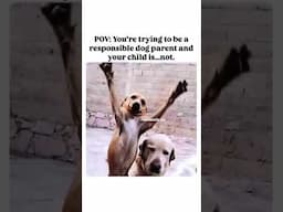 No One Is MORE EMBARRASSING Than Your Dog When You're Out In Public