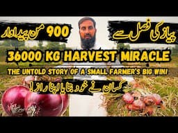 36,000 KG Yield From Onion Crop! 😱 Farmer’s SECRET Technique Exposed | IR Farm