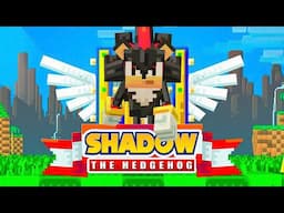 Minecraft x Shadow The Hedgehog - Full Game Walkthrough