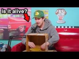 Skyler Regrets His Decision Playing What’s In The Box